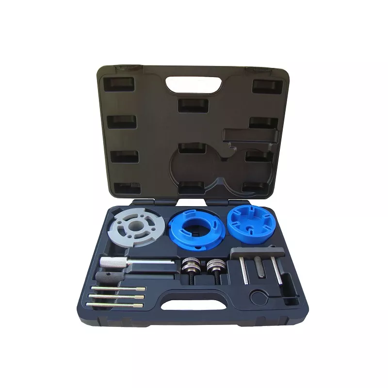 Piges de calage moteur PROFITOOL 0XAT0516