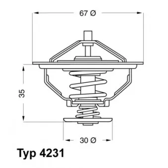 Thermostat d'eau WAHLER 4231.80D