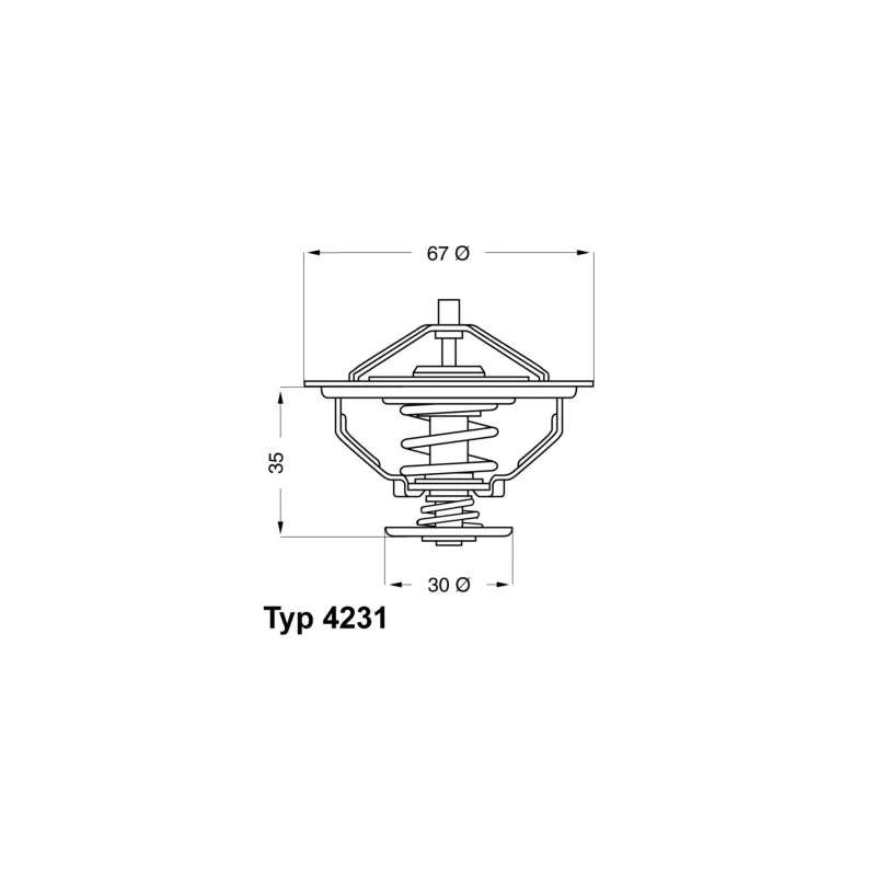 Thermostat d'eau WAHLER 4231.80D
