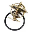 Thermostat d'eau WAHLER 4253.87D - Visuel 2
