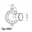 Thermostat d'eau WAHLER 4281.87D - Visuel 1