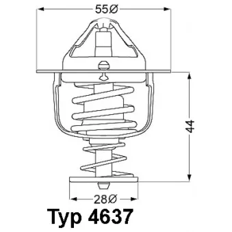 Thermostat d'eau WAHLER 4637.88D