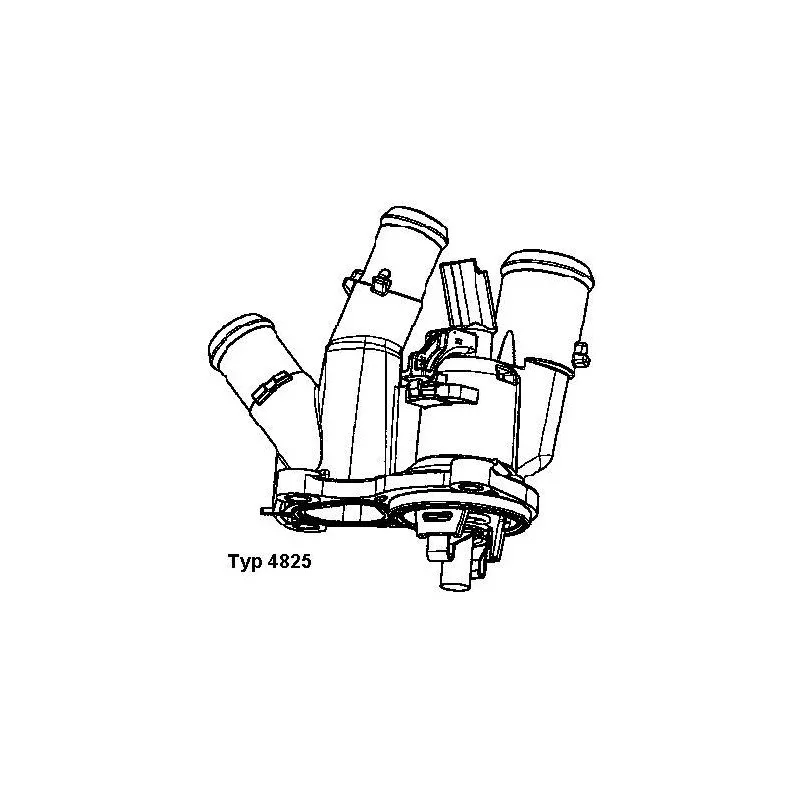 Thermostat d'eau WAHLER 4825.98D