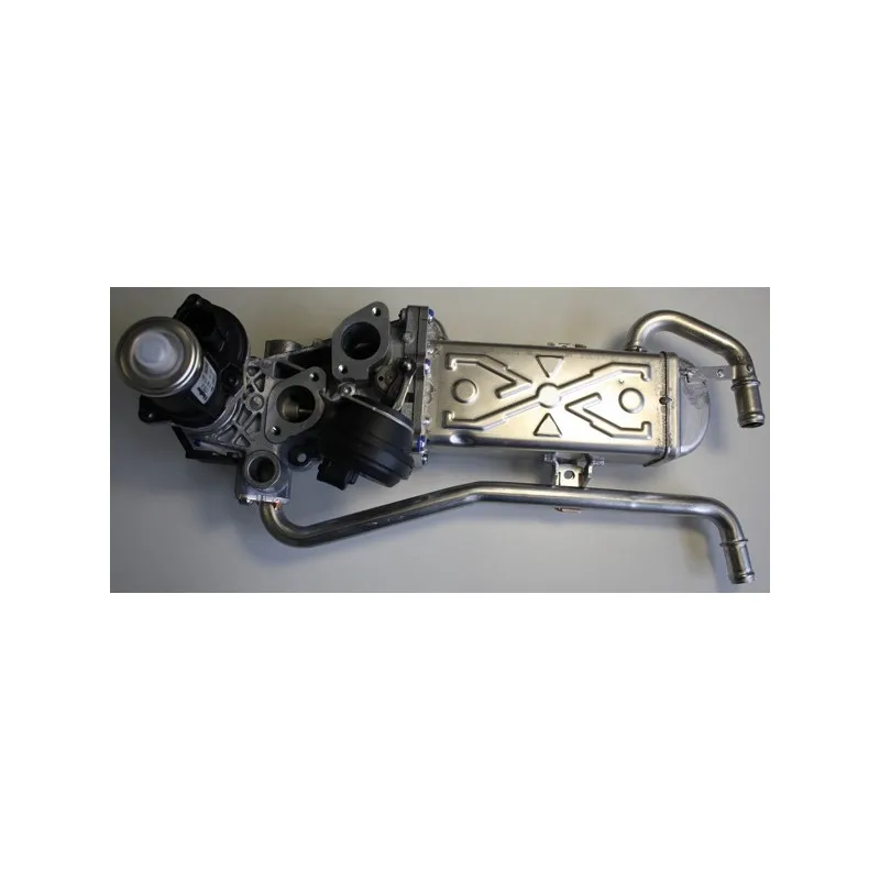 Module-EGR WAHLER 710863D