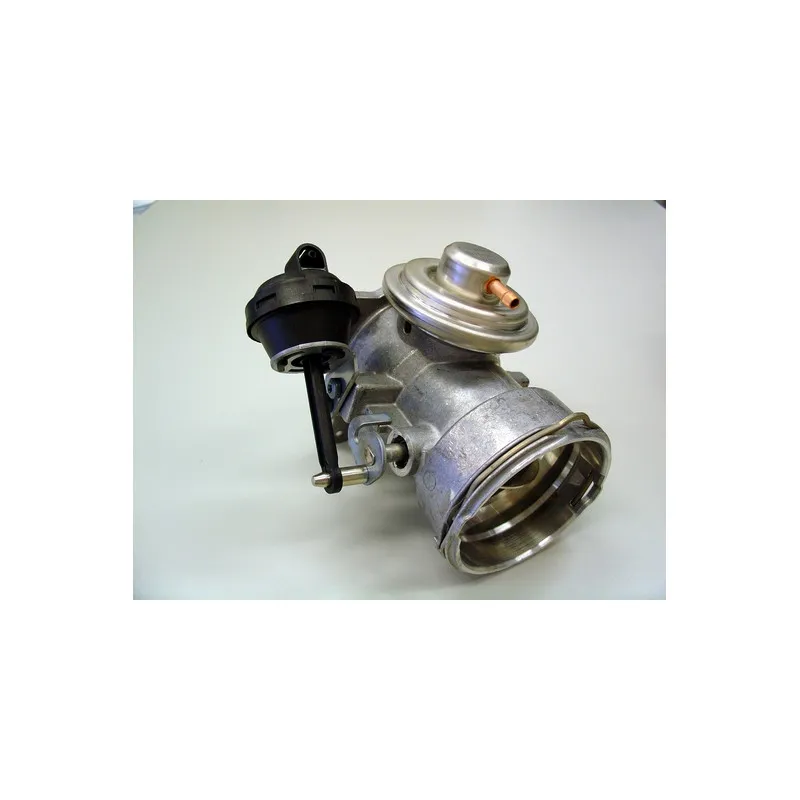 Vanne EGR WAHLER 7650D