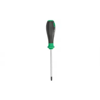 Tournevis TORX TOPTUL FFAF3013
