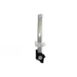 Lève-vitre MAGNETI MARELLI 350103170349 - Visuel 1