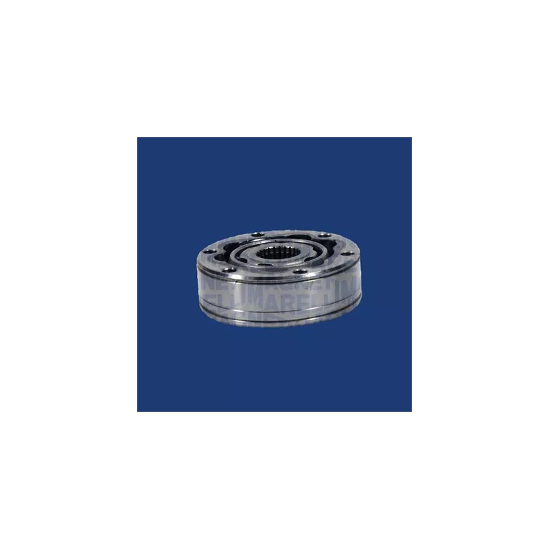 Embout de cardan avant (kit de réparation) MAGNETI MARELLI 302009100002