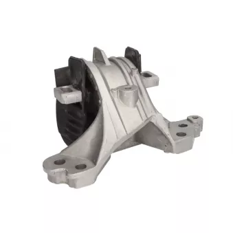 Support, suspension du moteur MAGNETI MARELLI 030607010843