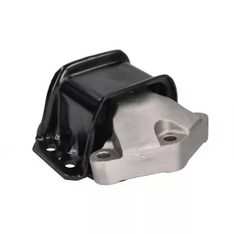 Support, suspension du moteur MAGNETI MARELLI 030607010841