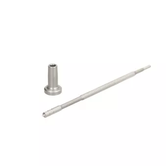 Composants de l'injecteur CR BOSCH F 00V C01 329
