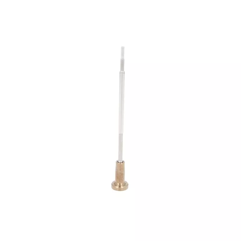 Composants de l'injecteur CR BOSCH F 00V C01 361
