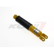 Jeu de 2 amortisseurs arrière KONI 30-1608SPORT - Visuel 2