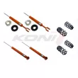 Ensemble de suspension KONI 1120-3691 - Visuel 2