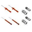 Ensemble de suspension KONI 1120-3601 - Visuel 1