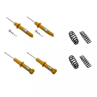 Ensemble de suspension KONI 1140-2331