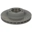 Disque de frein avant gauche SHW PFL39965 - Visuel 1