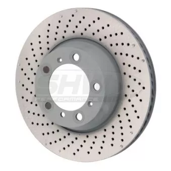 Disque de frein arrière gauche SHW PRL31124