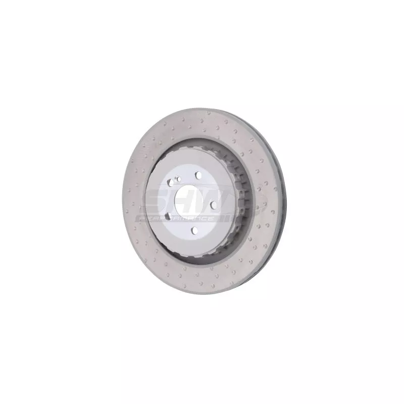 Jeu de 2 disques de frein arrière SHW TRX42212