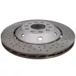 Disque de frein arrière gauche SHW ARL46413 - Visuel 1