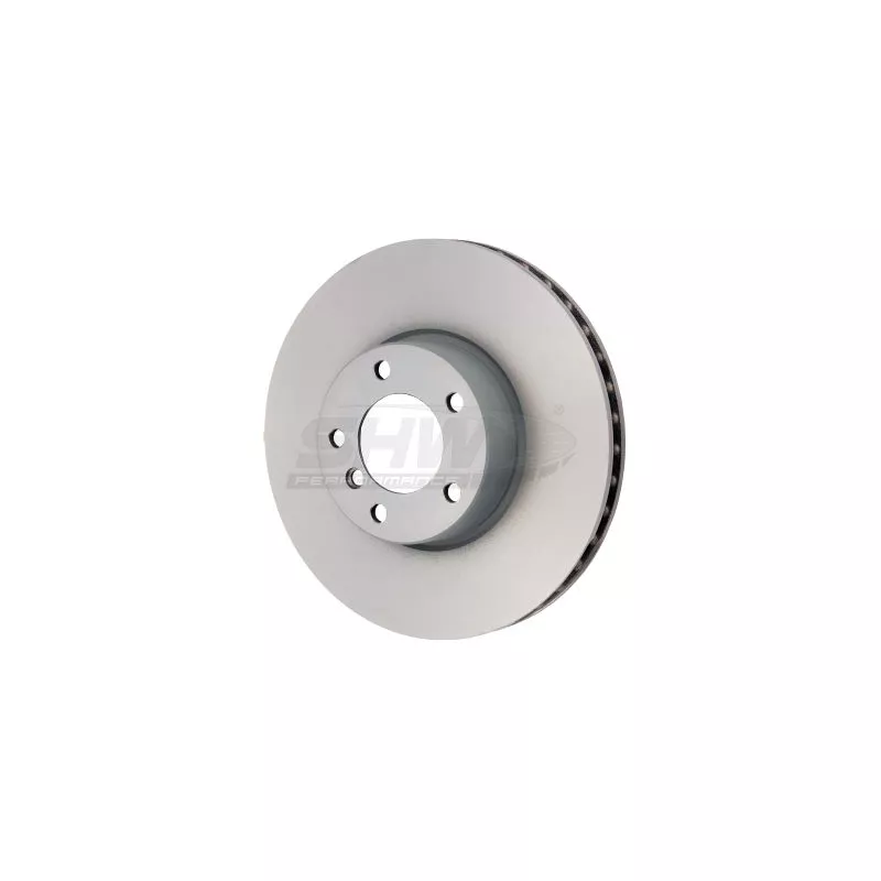 Jeu de 2 disques de frein avant SHW BFX30591