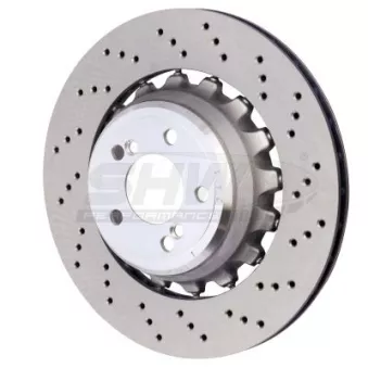 Disque de frein arrière droit SHW BRR48504