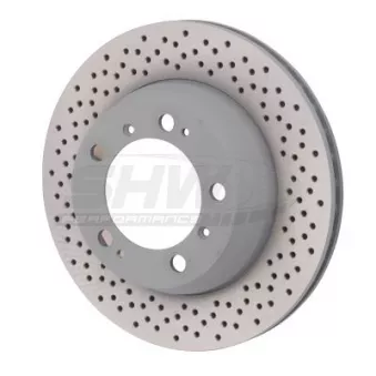 Jeu de 2 disques de frein arrière SHW PRX39961
