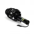 Amortisseur Arnott SK-3393 - Visuel 2