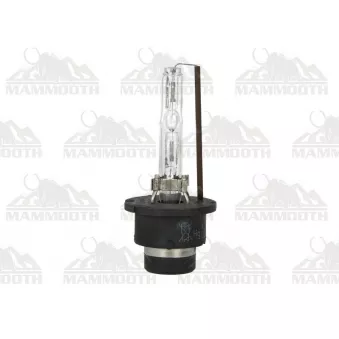 Ampoule D2S MAMMOOTH