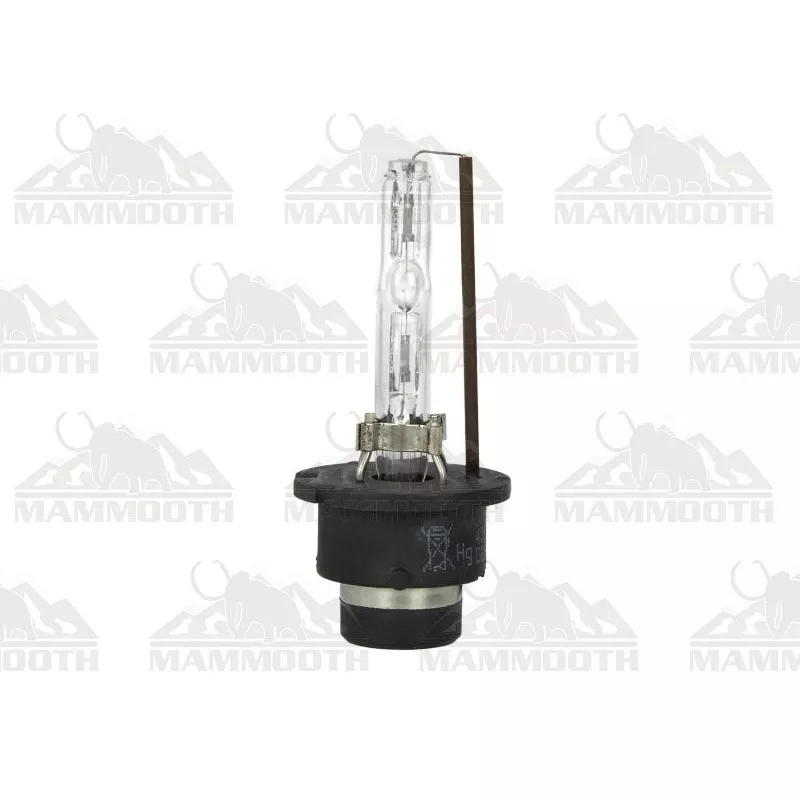 Ampoule D2S MAMMOOTH F195 D2S 8000K