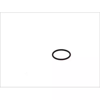Bague d'étanchéité BOSCH F 00V D38 010
