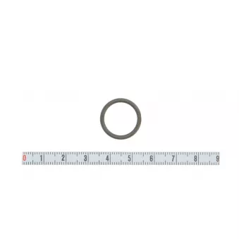 Bague d'étanchéité BOSCH 2 434 601 017
