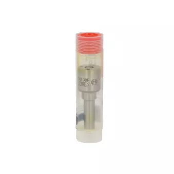 Buse/Gicleur/Injecteur BOSCH 0 433 172 307