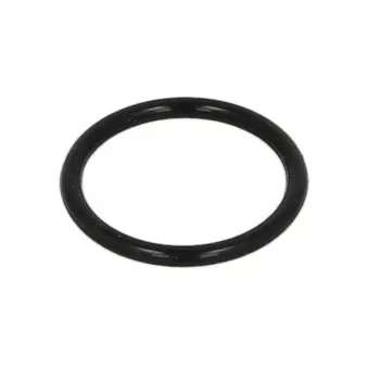 Bague en caoutchouc BOSCH F 00V C38 038