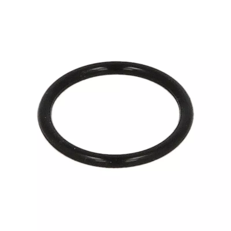 Bague en caoutchouc BOSCH F 00V C38 038