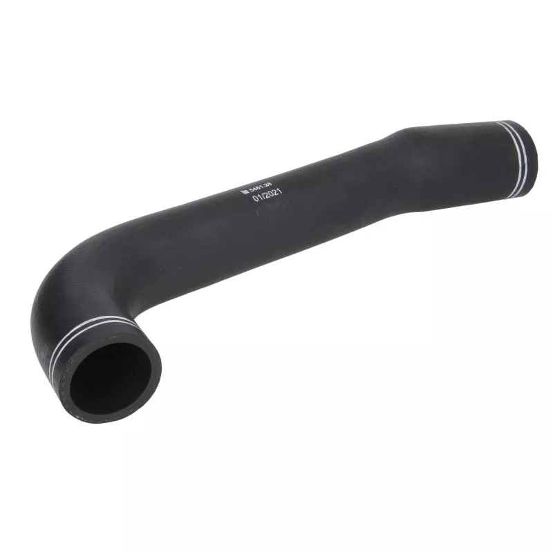 Durite de turbo LEMA 5461.28