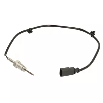 Palpeur, température des gaz 4MAX