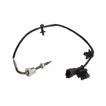 Palpeur, température des gaz 4MAX