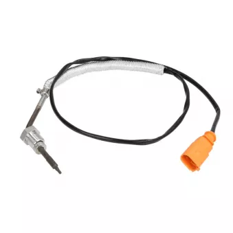 Palpeur, température des gaz 4MAX