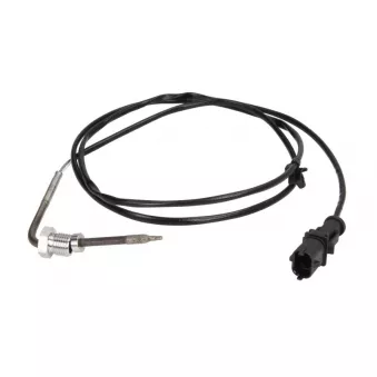 Palpeur, température des gaz 4MAX