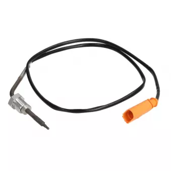 Palpeur, température des gaz 4MAX