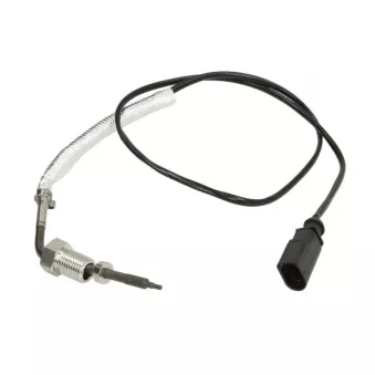 Palpeur, température des gaz 4MAX