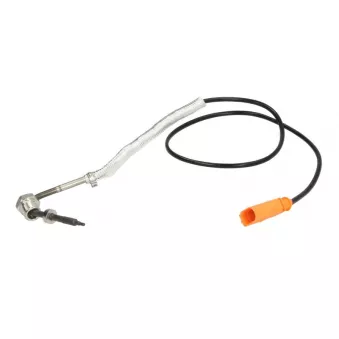 Palpeur, température des gaz 4MAX