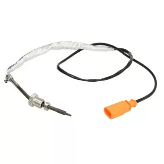 Palpeur, température des gaz 4MAX