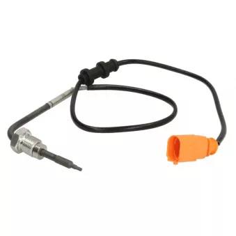 Palpeur, température des gaz 4MAX