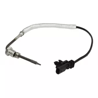 Palpeur, température des gaz 4MAX