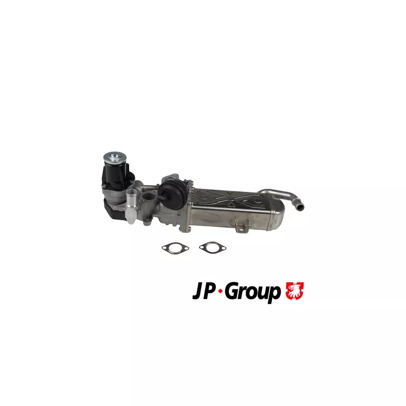 Vanne EGR JP GROUP 1119902100