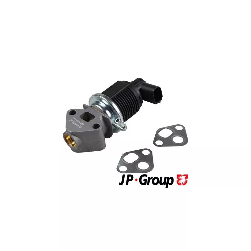 Vanne EGR JP GROUP 1119902200
