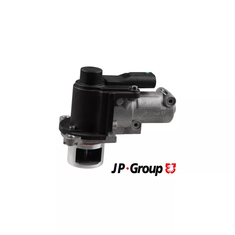 Vanne EGR JP GROUP 1119902500