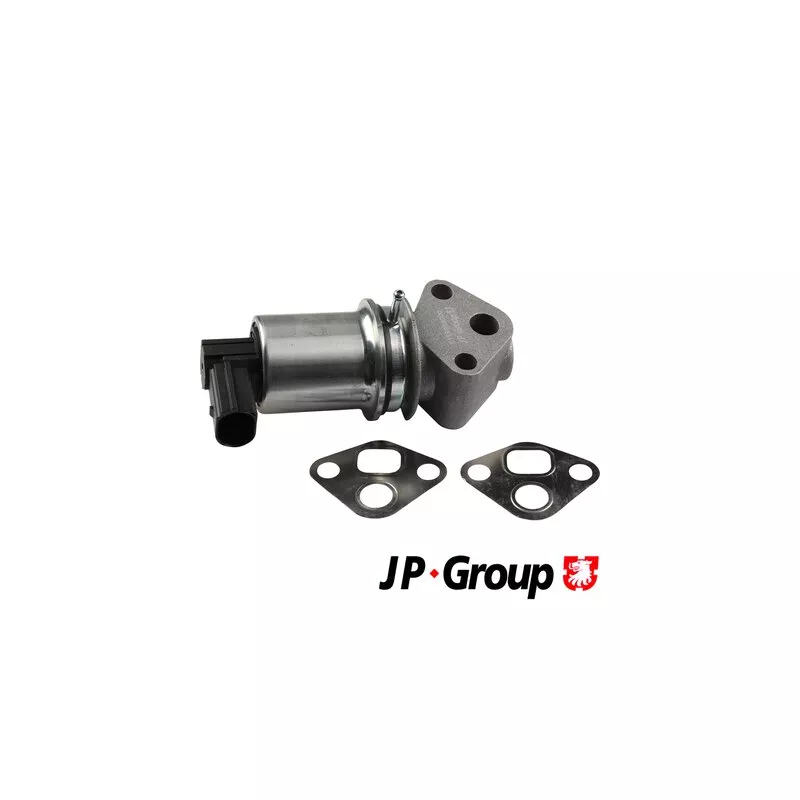 Vanne EGR JP GROUP 1119903000